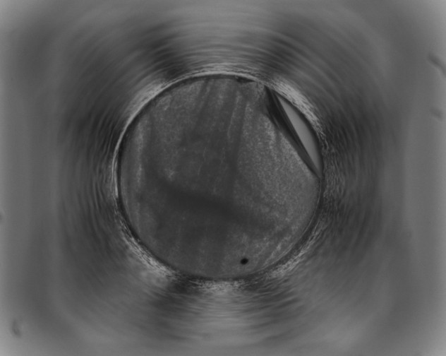 X0000097000892200802291144