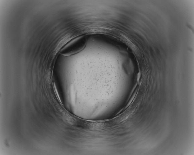 X0000097000893200802291144