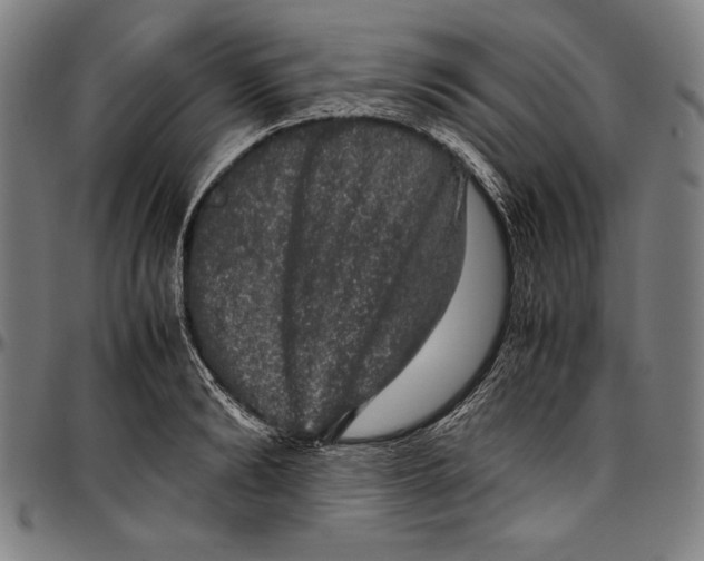 X0000097000894200802291144