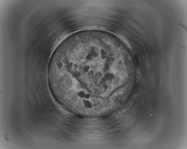 X0000097000895200802291144