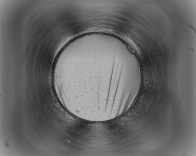 X0000097000896200802291144