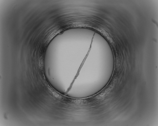 X0000097000897200802291144