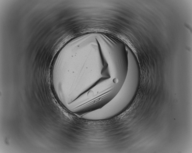 X0000097000898200802291144