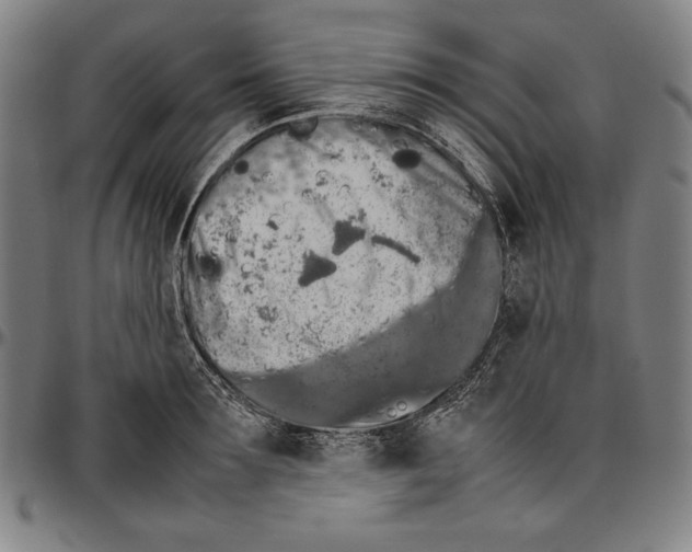 X0000097000899200802291144