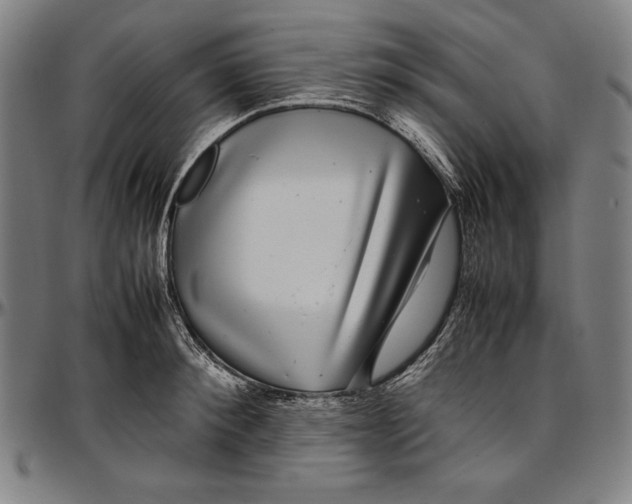 X0000097000900200802291144