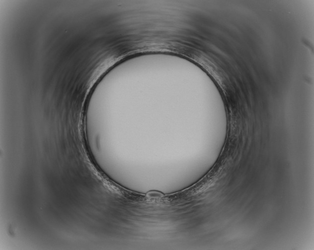 X0000097000901200802291144