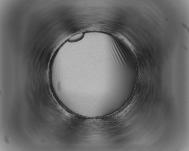 X0000097000902200802291144