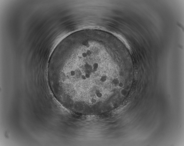 X0000097000903200802291144