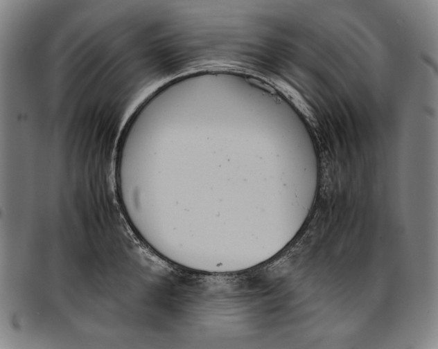 X0000097000904200802291144