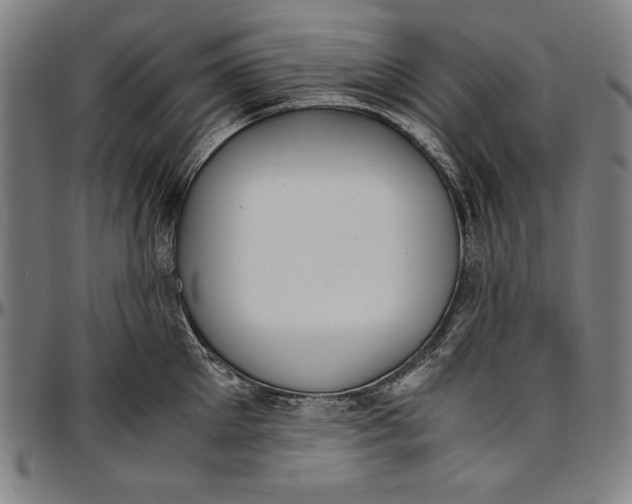 X0000097000905200802291144