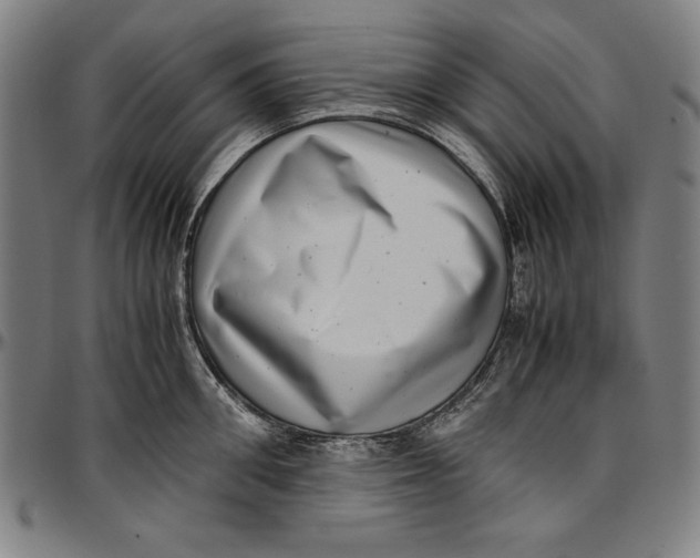 X0000097000906200802291144