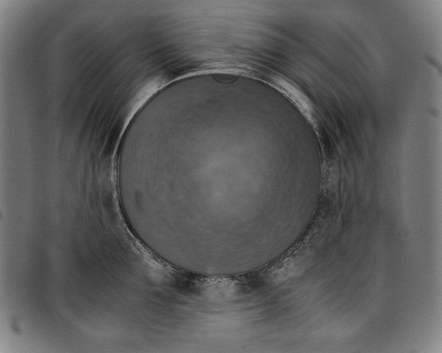 X0000097000907200802291144