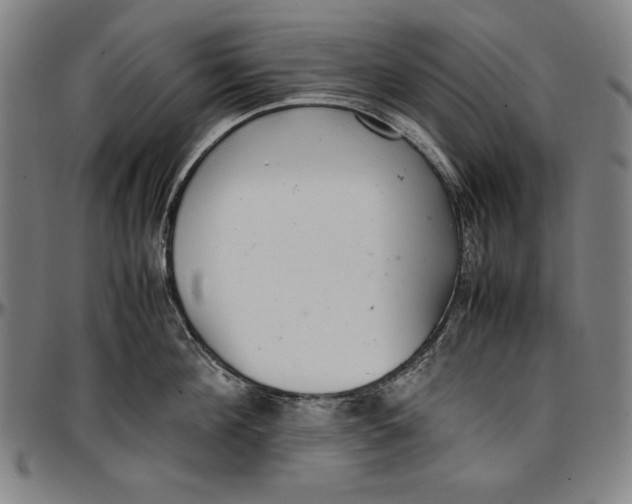 X0000097000908200802291144