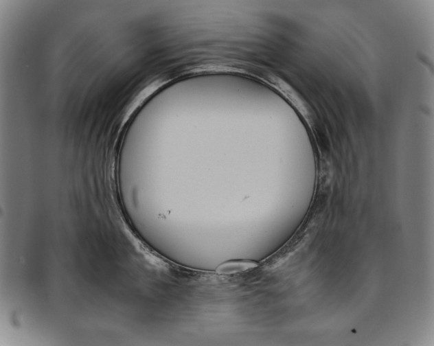 X0000097000909200802291144