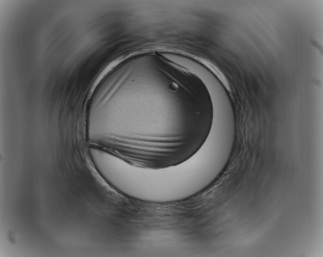 X0000097000911200802291144