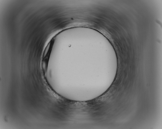 X0000097000912200802291144