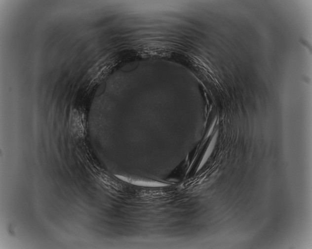 X0000097000915200802291143