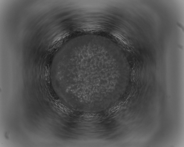 X0000097000917200802291143