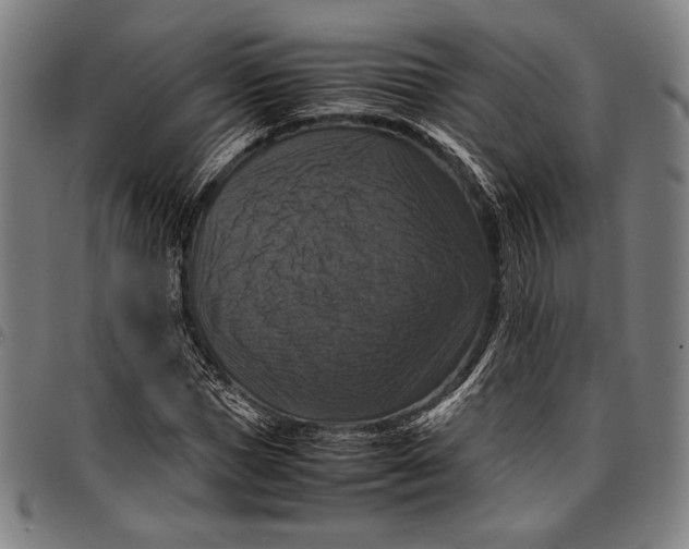 X0000097000921200802291143