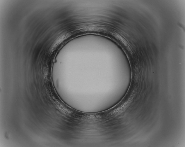 X0000097000922200802291143