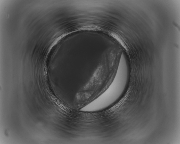 X0000097000923200802291143