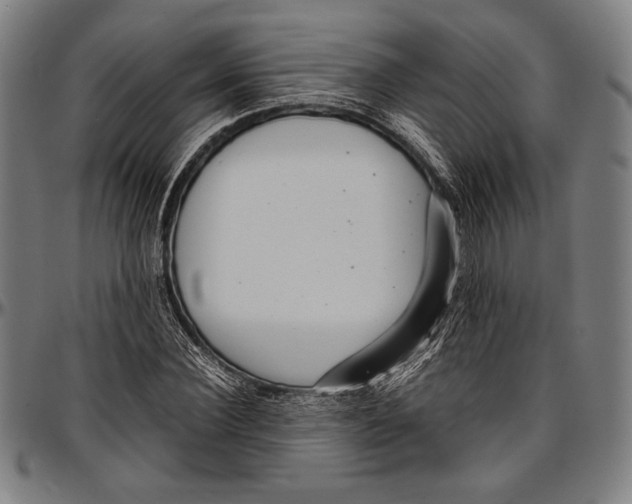 X0000097000924200802291143