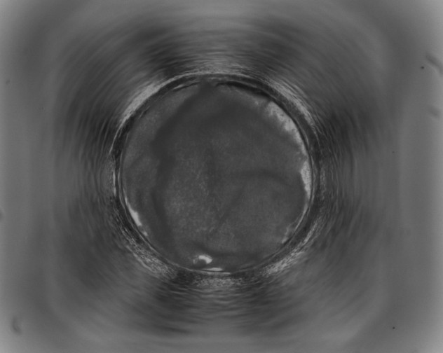 X0000097000925200802291143