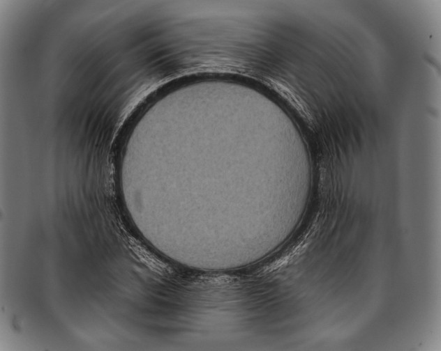 X0000097000926200802291143