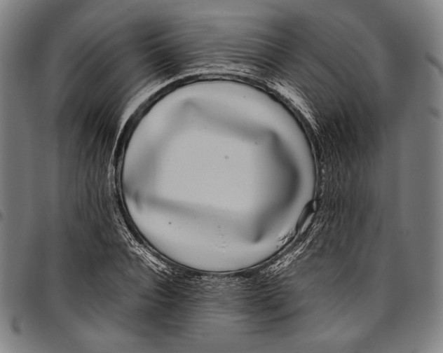 X0000097000928200802291144