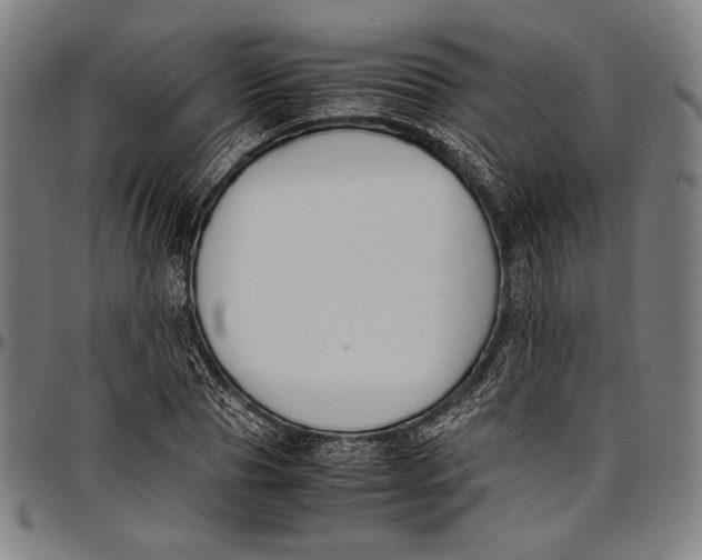 X0000097000929200802291144