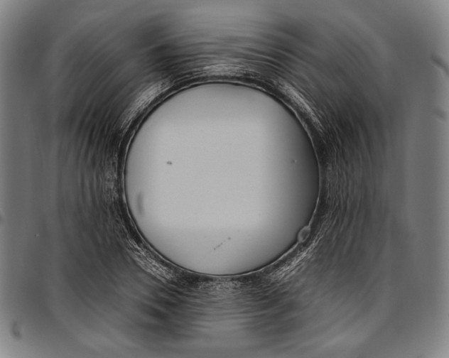 X0000097000930200802291144