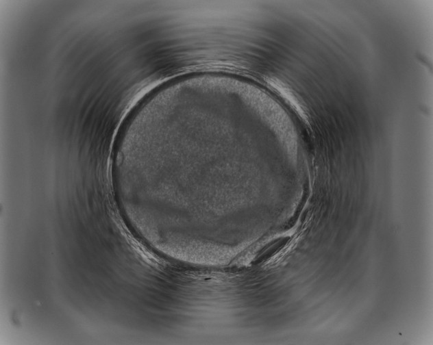 X0000097000932200802291144