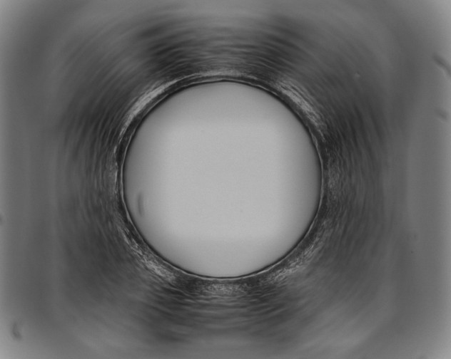 X0000097000933200802291144