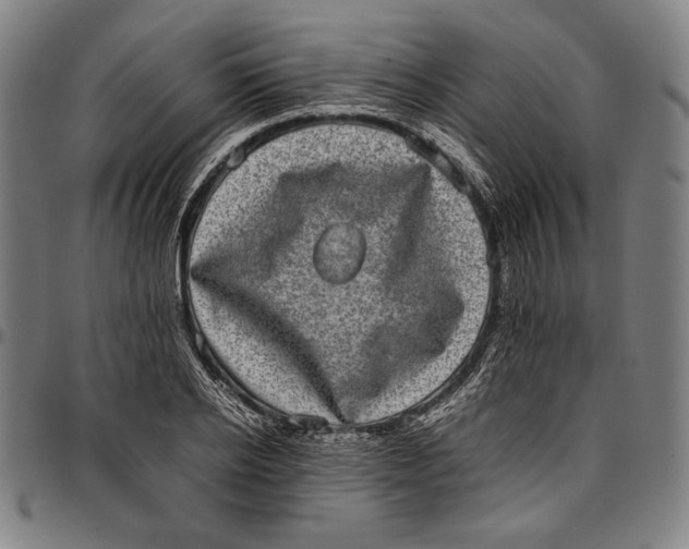 X0000097000934200802291144