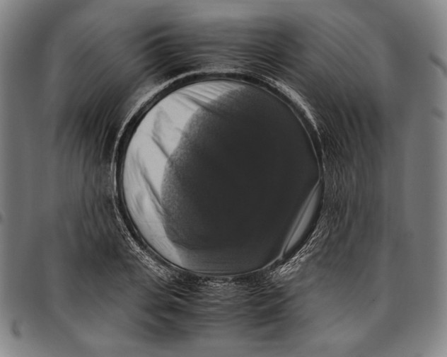 X0000097000935200802291144