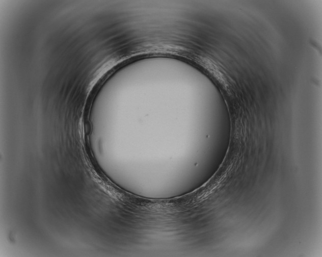 X0000097000936200802291144