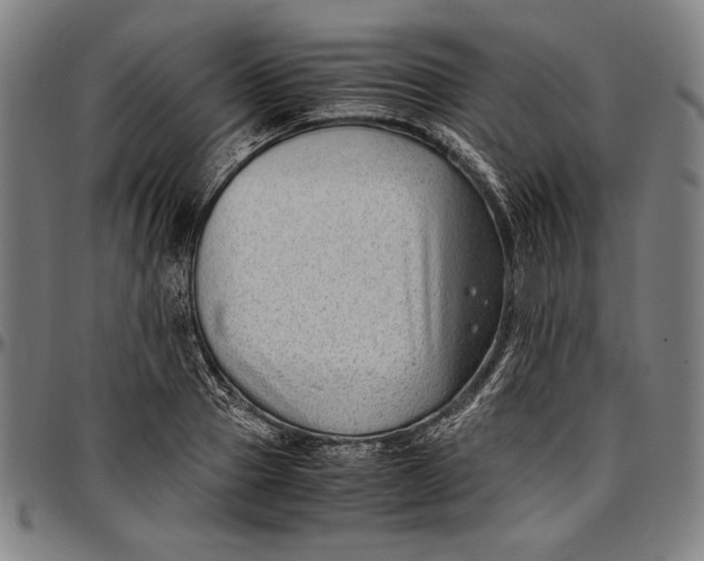 X0000097000937200802291144