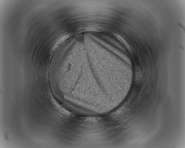 X0000097000938200802291144