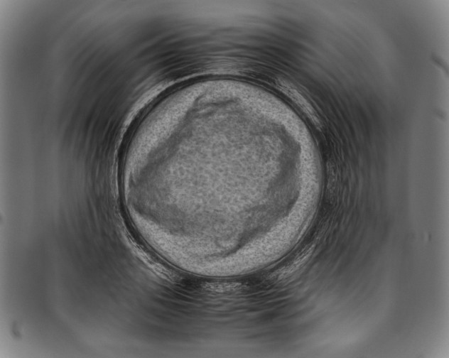 X0000097000939200802291144