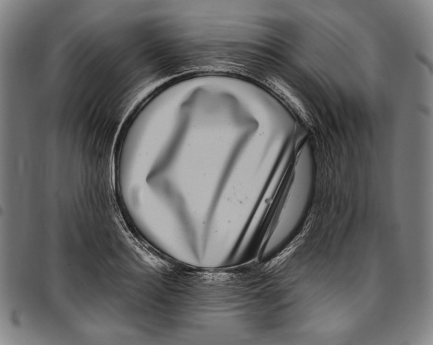 X0000097000940200802291144