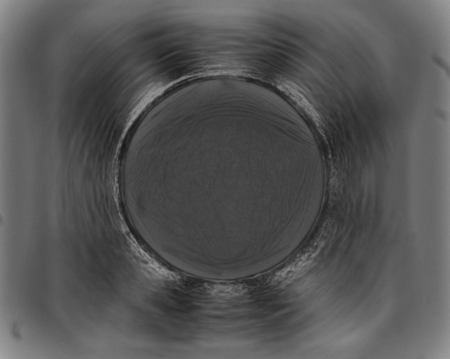 X0000097000941200802291144