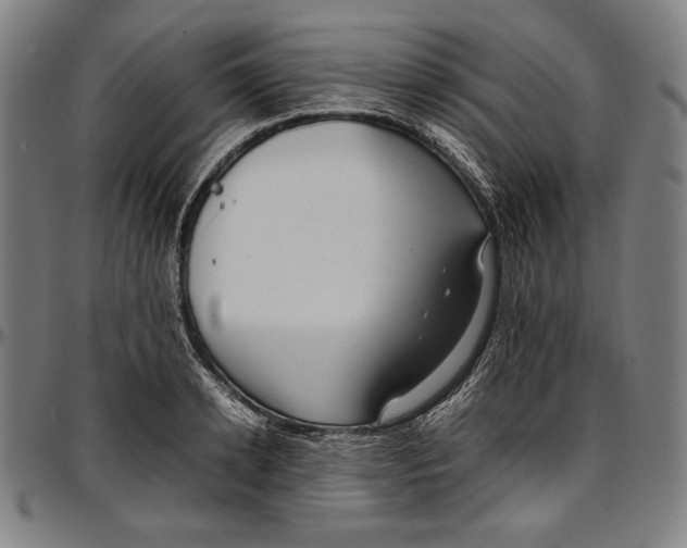 X0000097000942200802291144