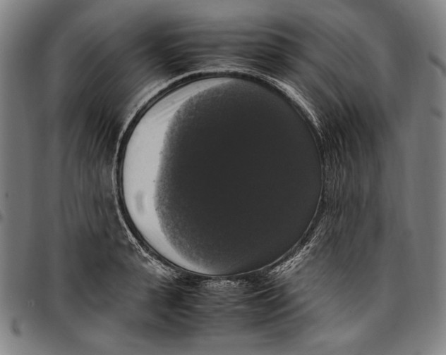 X0000097000943200802291144