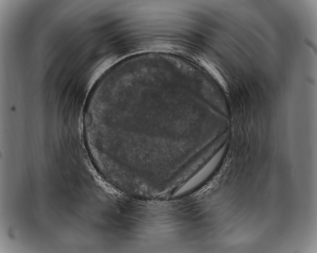 X0000097000944200802291144