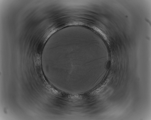 X0000097000945200802291144