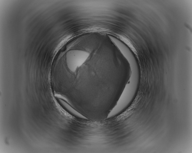 X0000097000946200802291144