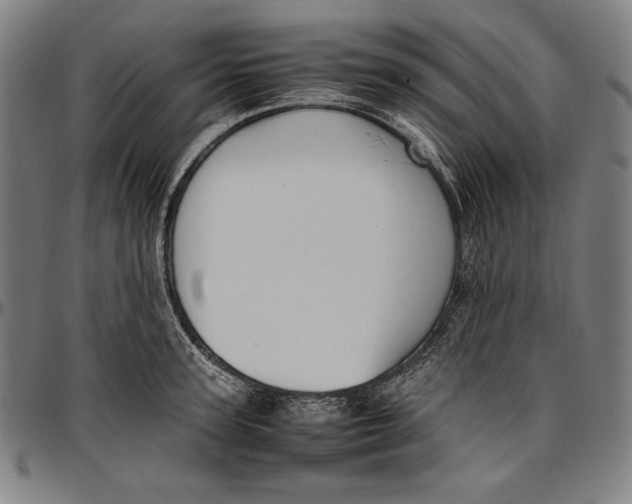 X0000097000947200802291144