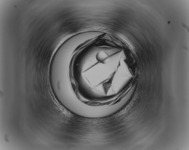 X0000097000948200802291144