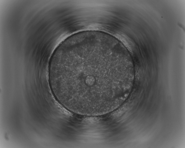 X0000097000950200802291144