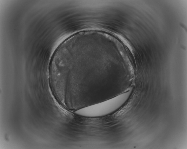 X0000097000951200802291144